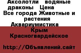 Аксолотли / водяные драконы › Цена ­ 500 - Все города Животные и растения » Аквариумистика   . Крым,Красногвардейское